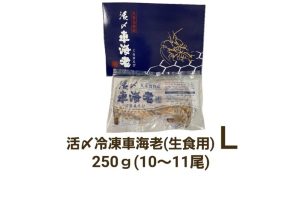 久米島産活〆冷凍車海老L 250g (10～11尾) 【生食用】（県内）