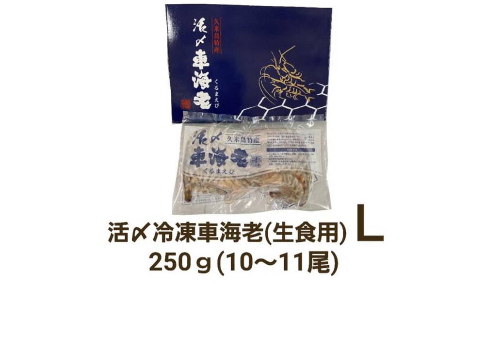 久米島産活〆冷凍車海老L 250g (10～11尾) 【生食用】（県内）