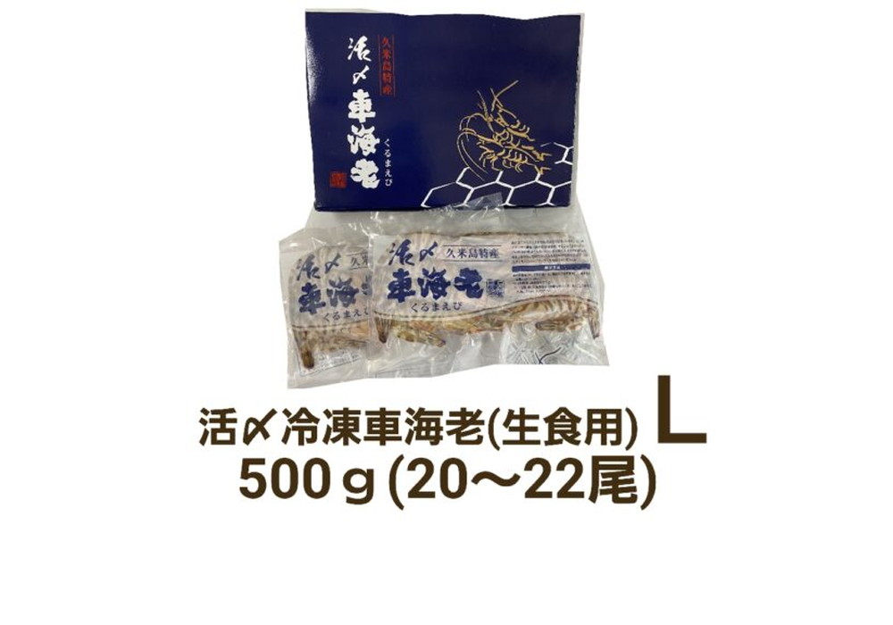 久米島産活〆冷凍車海老L 500g (20～22尾) 【生食用】（県外）