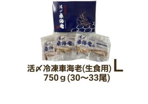 久米島産活〆冷凍車海老L 750g (30～33尾) 【生食用】（県内）