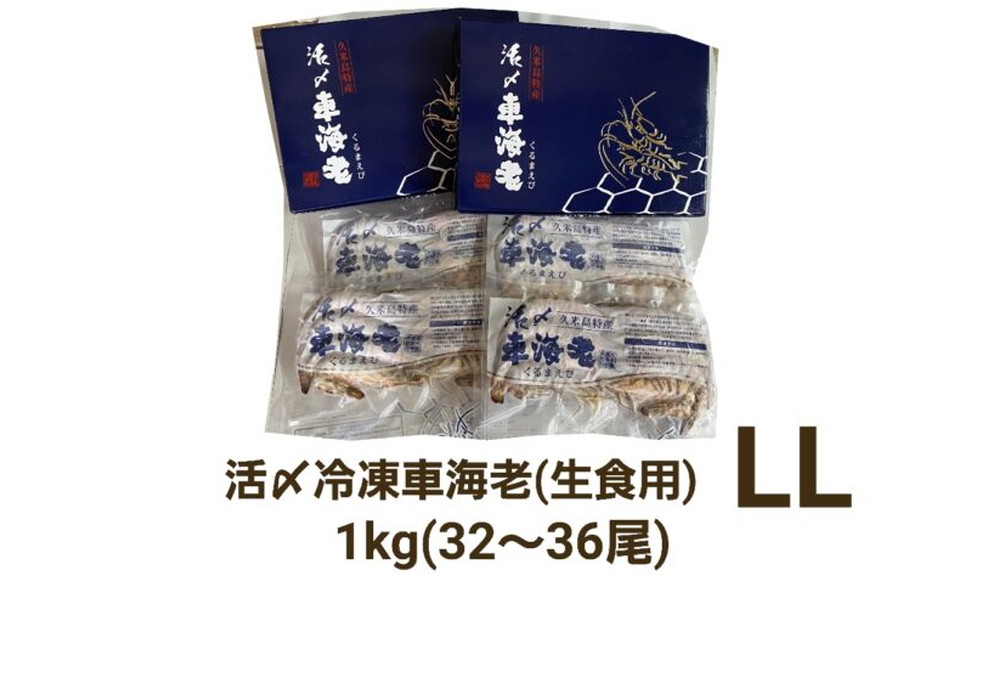 久米島産活〆冷凍車海老LL 1kg (32～36尾) 【生食用】（県内）