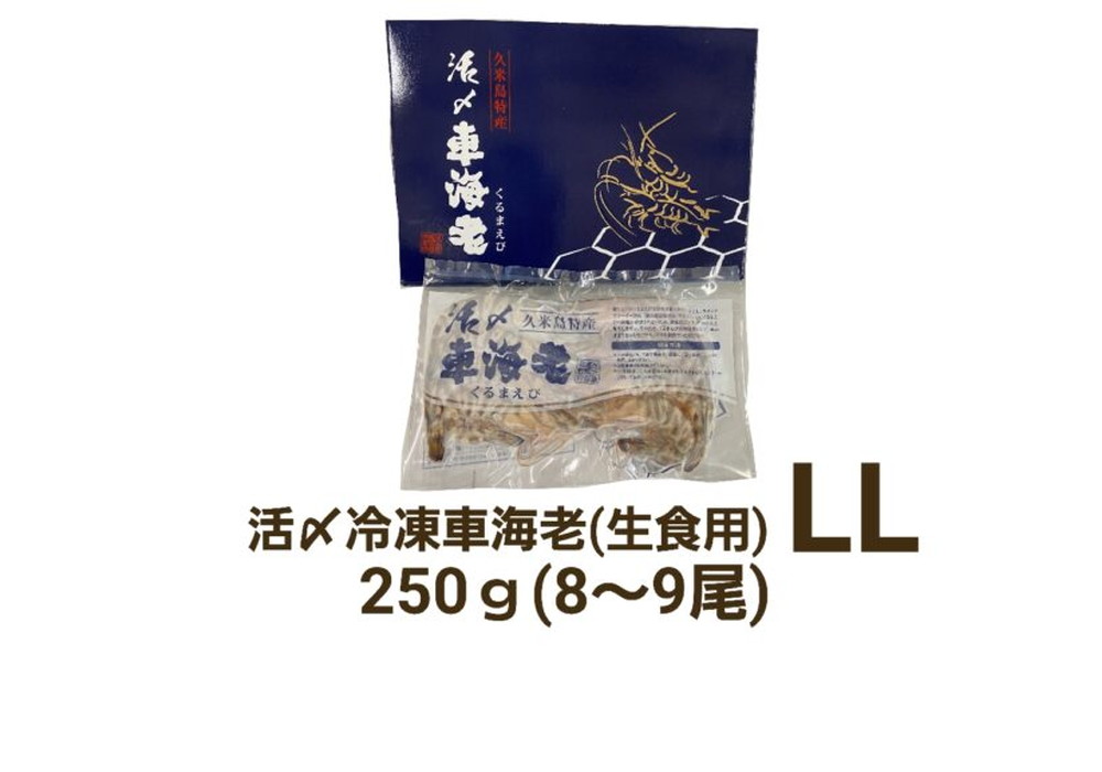 久米島産活〆冷凍車海老LL 250g (8～9尾) 【生食用】（県内）