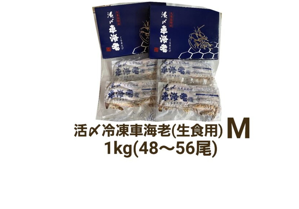 久米島産活〆冷凍車海老M 1kg (48～56尾) 【生食用】（県内）