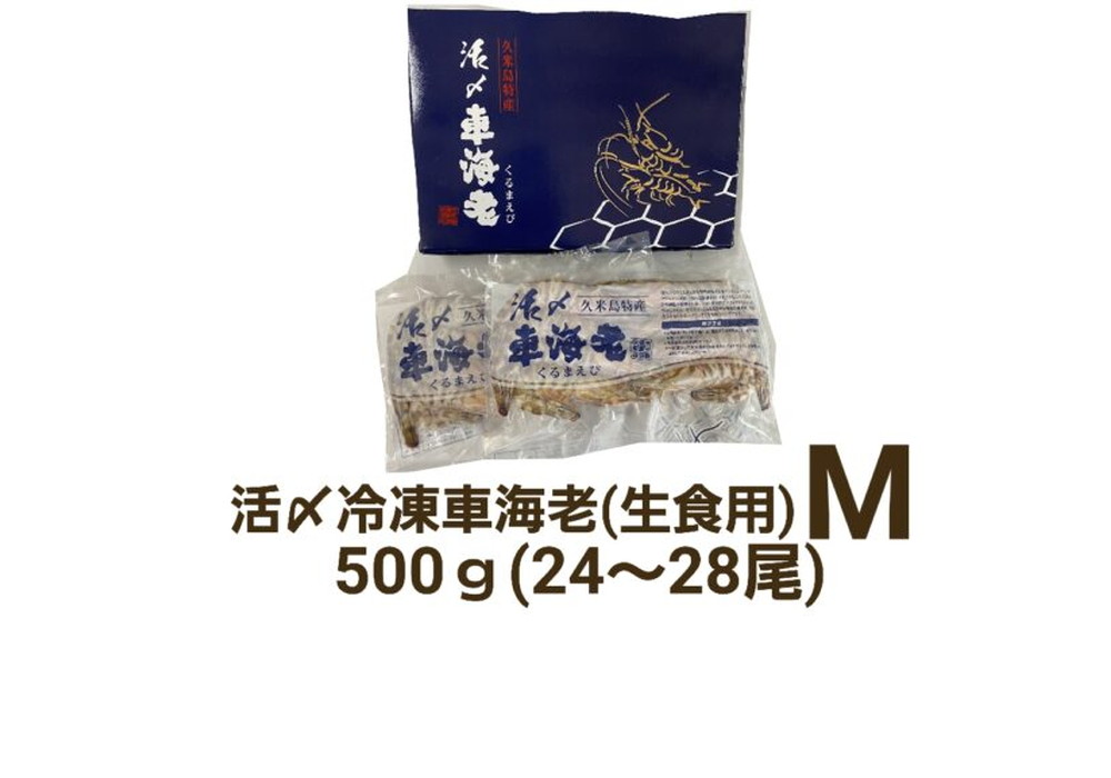 久米島産活〆冷凍車海老M 500g (24～28尾) 【生食用】（県外）