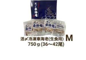 久米島産活〆冷凍車海老M 750g (36～42尾) 【生食用】（県外）