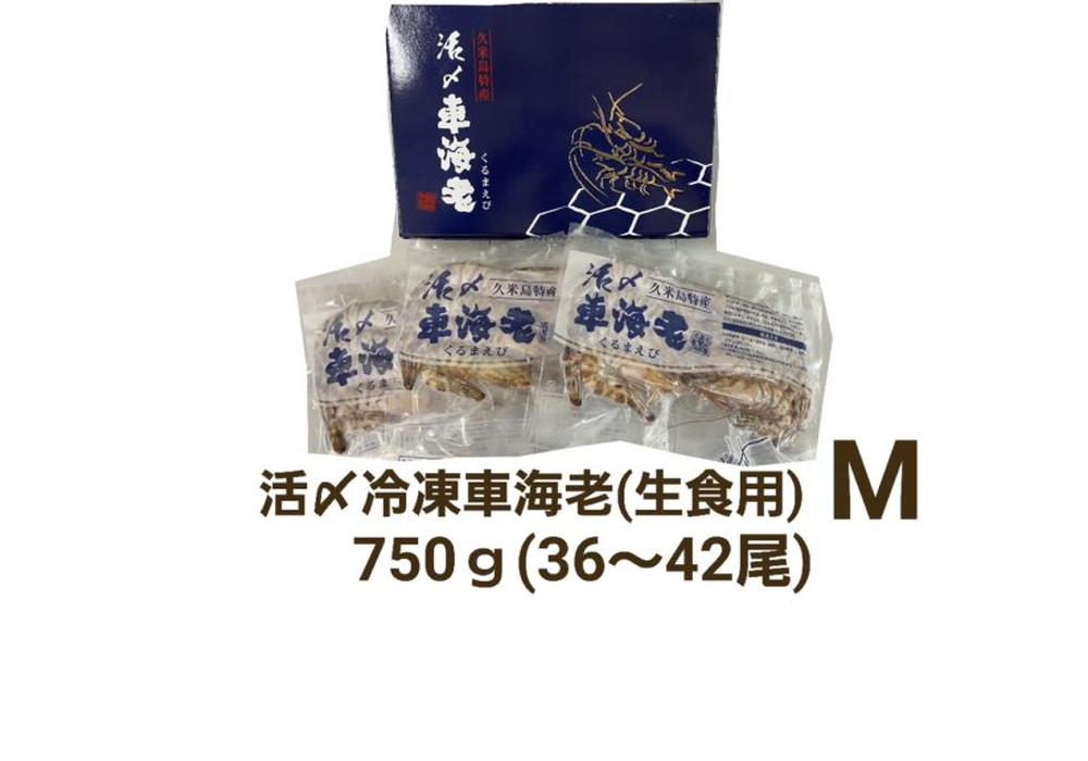 久米島産活〆冷凍車海老M 750g (36～42尾) 【生食用】（県内）